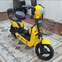 موتور برقی پدالی
