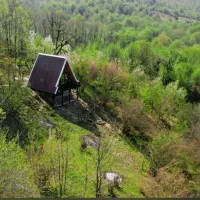 ویلا سویسی یکخوابه جنگلی ویو ابدی