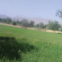 200متر-زمین-کشاورزی