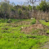 زمین ۲۰۰ متری خوش قیمت|فروش زمین و ملک کلنگی|رودبنه, |دیوار