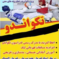 آموزش تخصصی آنلاین تکواندو