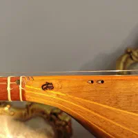 سه تار حرفه ای|سازهای سنتی|تهران, سازمان آب|دیوار