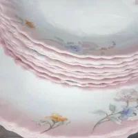 پلو خوری الیزه فرانسه