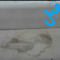 مبل شویی مبلشویی کچرانلویی سیناواش|خدمات نظافت|بجنورد, |دیوار