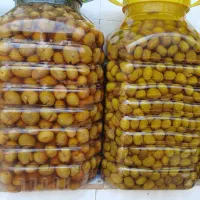 کلکسیون زیتون|کلکسیون و سرگرمی|رودبار, |دیوار