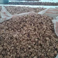 گردو قاهان|خوردنی و آشامیدنی|قاهان, |دیوار