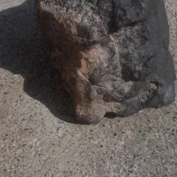 شهاب سنگ اهنی مغناطیس