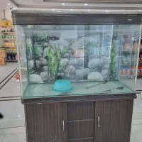 فروش اکواریوم