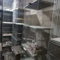 قفس دست دوم