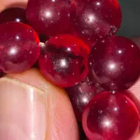 بریل قرمز بیکسبیت