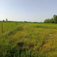 راهنمایی صدمترزمین سندار|فعالیت داوطلبانه|چمستان, |دیوار