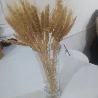 تنگ ماهی|گل مصنوعی|نیشابور, سرآب کوشک|دیوار