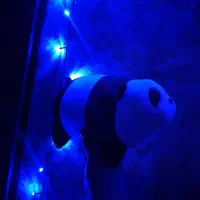 عروسک پاندا|اسباببازی|فولادشهر, مسکن مهر فولادشهر|دیوار