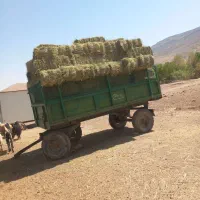 ینوجه