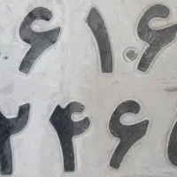 پلاک پیدا شده