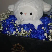 باکس مخمل گل روبانی آبی و عروسک
