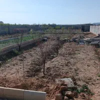 فروش زمین باغچه چهاردیواری دونبش فروش فوری