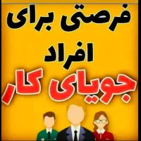 همکاری در شرکت بیمه
