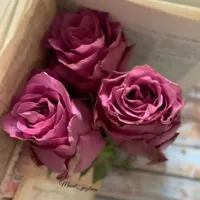 کارت ماشین گم شده