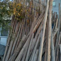 چوب ساختمانی و زغالی