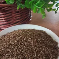 زیره کوهی کلات تازه امسالی خوش عطر و بو