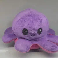 عروسک|اسباب‌بازی بچه|مشهد, دانشجو|دیوار