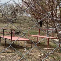 تخت آهنی|صندلی و نیمکت|زنجان, |دیوار