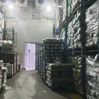 پیازداغ خانگی وذرت مکزیکی وباقالی|خوردنی و آشامیدنی|تهران, یافت آباد شمالی|دیوار