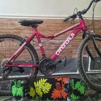 دوچرخه،اسکیت برد در حد نو