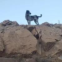 توله سگ سرابی