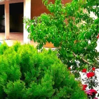 باغ / ویلافروشی / ۲هزارمترسند/ استخردار/ بازسازی|فروش خانه و ویلا|مشهد, توس فردوسی|دیوار
