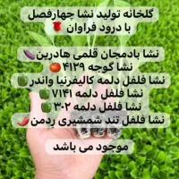 نشا گوجه بادمجان فلفل تند فلفل دلمه|خدمات باغبانی و درختکاری|سراوان, |دیوار