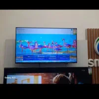 اسنوا55هوشمند درحدنو|تلویزیون و پروژکتور|بافت, |دیوار