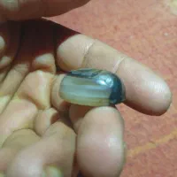 نگین انگشتر|جواهرات|بم, |دیوار