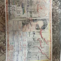 فرش نگین طلایی مشهد|فرش|تربت‌حیدریه, کاشانی|دیوار