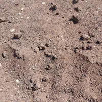 کود بز و گوسفند خشک گونی شده و فله.و کود پوسیده