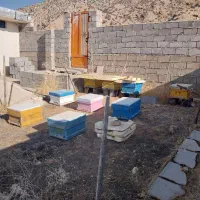 وسایل و کندو زنبور عسل