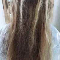 پک طلایی آغاز شد