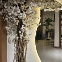 اجاره اتاق در کلینیک زیبایی