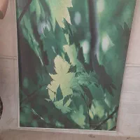 پرده|پرده، رانر، رومیزی|قم, باغ کرباسی|دیوار