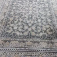 فرش|فرش|ساری, |دیوار