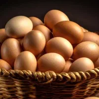 تخم مرغ محلی