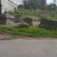 مرغداری میمه مورچه خورد