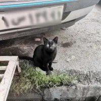 پژو 405 مدل 87