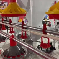 نیازمند نیرو جوان و فعال