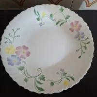 آرکوپال امارات