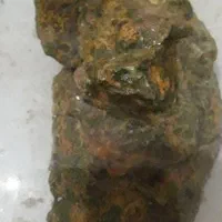 مجسمه شجر عتیقه|کلکسیون اشیاء عتیقه|اهواز, شریعتی جنوبی|دیوار