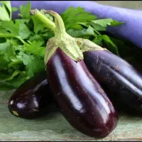 بادمجان بدون هسته سیاه