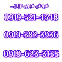 919 تهران|سیم‌کارت|همدان, |دیوار