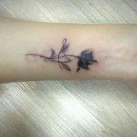 تتو توی بلک فرایدی